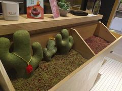 -炖物24章·顺时轻养茶(杭州保利时光里店)