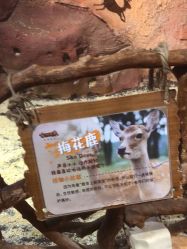 -奇幻萌宠部落(映月湖环宇城店)