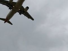 -空港花田景区
