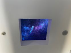 -纯粹医美