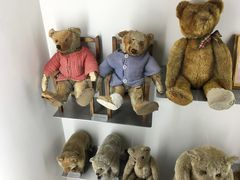 -济州岛泰迪熊博物馆