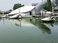 -东方巨龟苑景区