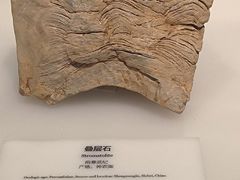 -长江文明馆
