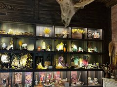-雪灵魔法世界SHELLY’S TAROT(大良桂畔里店)