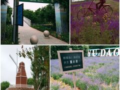 -渔岛海洋度假区