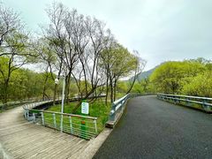 -西湖风景区-江洋畈生态公园