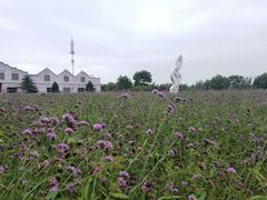 -渔岛海洋度假区