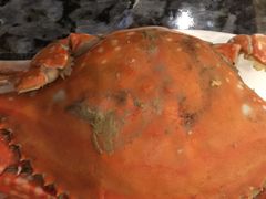 -民族饭店-四季餐厅