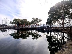 -无锡蠡湖国家湿地公园-蠡园