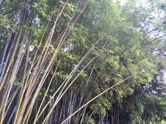 -晓港公园