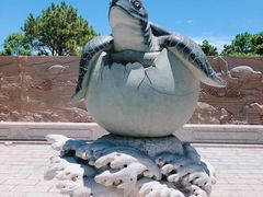 -广东惠东海龟国家级自然保护区
