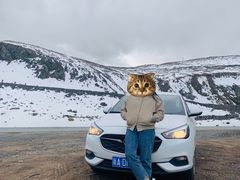 -大冬树山垭口