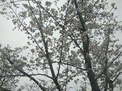 -堤角公园