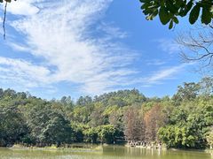 -番禺大夫山森林公园