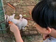 -静之湖湖畔餐厅