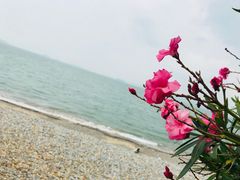 -黄金海岸环岛路