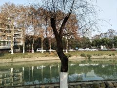 -沙河三洞古桥公园
