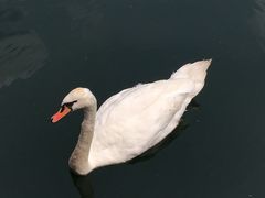 -布劳伽斯特豪夫哈尔施塔特宾馆