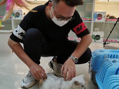 -lincat·猫舍(广州店)