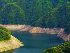 -四明山国家森林公园