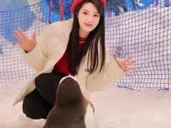 -湘江欢乐城欢乐雪域