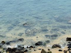 -三亚西岛海洋文化旅游区