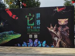 -重庆国际马戏城
