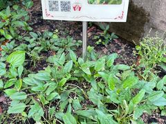 -广州神农草堂中医药博物馆
