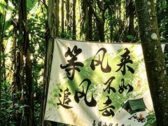 -西双版纳基诺山寨