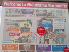 -黑潮市场