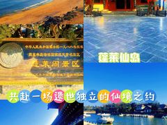 -蓬莱仙岛