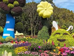 -上海共青森林公园