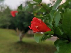 -金海湾滨江公园