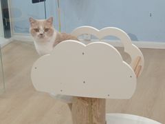 -1013 PET SHOP 宠物商店(近铁城市广场店)