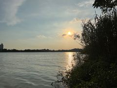 -鹤之洲湿地公园