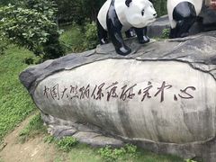 -都江堰中华大熊猫苑