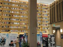 -深影国际影城(学院南路店CGS中国巨幕店)
