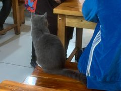 -十里铺铁板鱿鱼