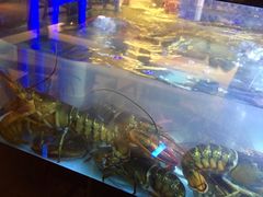 水产区-食百绚全日制餐厅(成都棕榈泉费尔蒙酒店)
