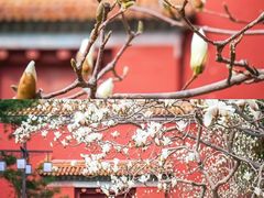 -北京市劳动人民文化宫