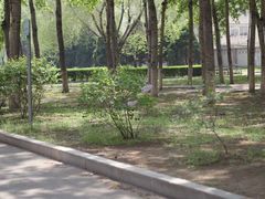 -辽宁大学(崇山校区)