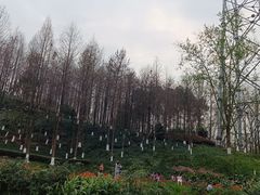 -重庆园博园