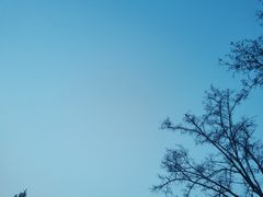 -廊坊文化艺术中心