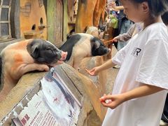 -长鹿旅游休博园