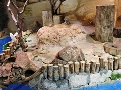 -正佳雨林生态植物园