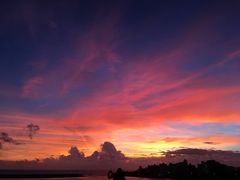 -蒸気海鮮
