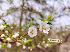 -鹫峰国家森林公园