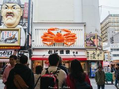 -蟹道乐(道顿堀本店)