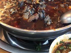 -黑竹香鸡(营和巷店)