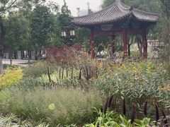 -西海子公园